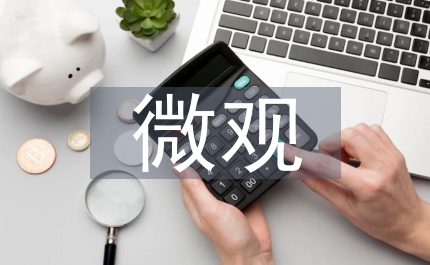 微觀經(jīng)濟(jì)學(xué)的認(rèn)識(shí)