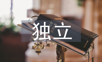 獨(dú)立審計(jì)準(zhǔn)則