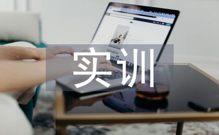 專業(yè)技能實(shí)訓(xùn)報(bào)告