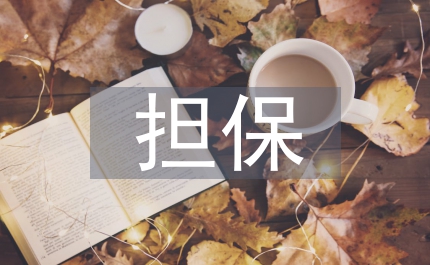 企業(yè)融資擔(dān)保風(fēng)險管理規(guī)定