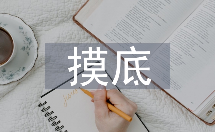 摸底調(diào)查報(bào)告