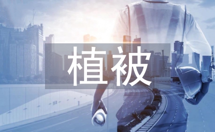 國(guó)土局亂挖山體破壞植被整治發(fā)言