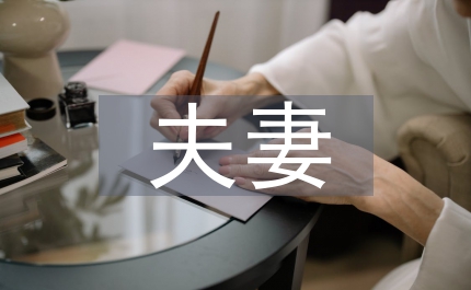 夫妻財(cái)產(chǎn)制度立法論文