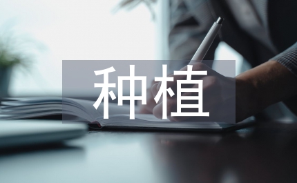 縣區(qū)農(nóng)產(chǎn)品種植基地安全建議