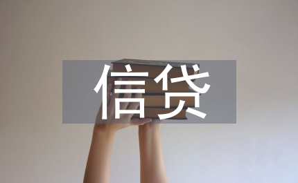 道德風(fēng)險小額信貸論文