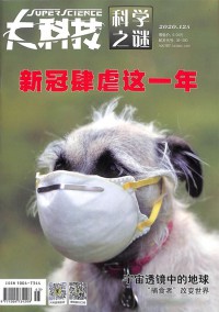 影像視覺